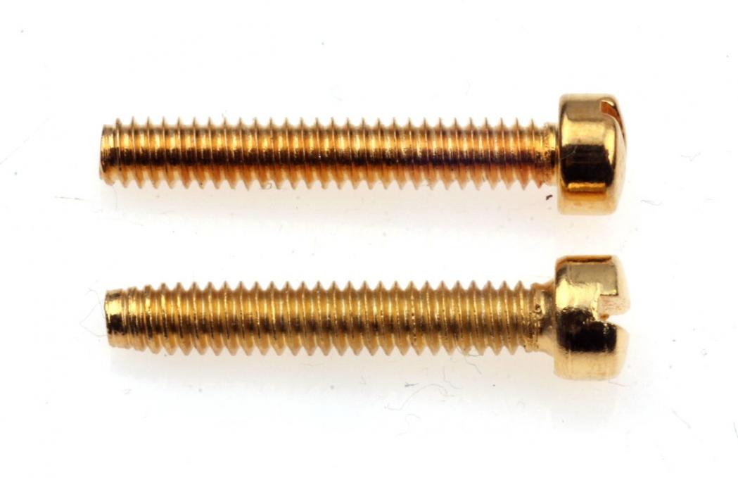 Top our new "Cheesehead" Polescrews