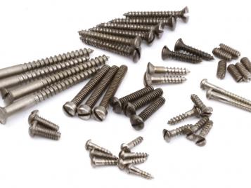 We offer a complete Screw Set for Blackguard Teles